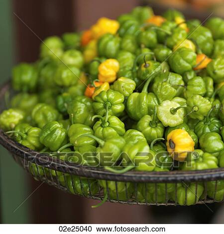 San Ignacio, Bowl of Peppers View Large Photo Image Stock Image - San Ignacio, Bowl of Peppers. Fotosearch