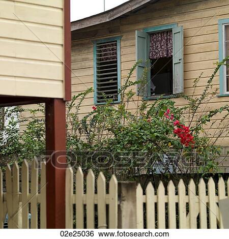 San Ignacio, House View Large Photo Image Stock Photograph - San Ignacio, House. Fotosearch