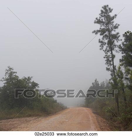 San Ignacio, Road View Large Photo Image Stock Image - San Ignacio, Road. Fotosearch