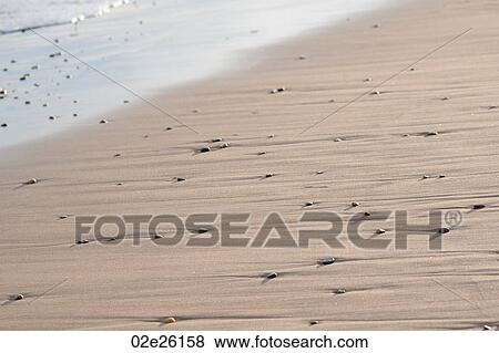 Sand and rocks along Hampton seashore View Large Photo Image Stock Photo - Sand and rocks along Hampton seashore. Fotosearch