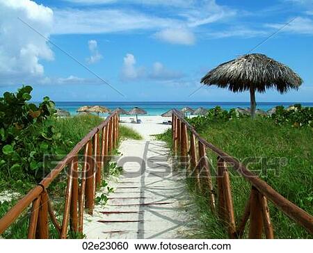 Sandy pathway to the beach. View Large Photo Image Stock Image - Sandy pathway to the beach.. Fotosearch