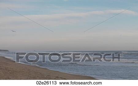 Seascape along shoreline at The Hamptons, New York View Large Photo Image Stock Image - Seascape along shoreline at The Hamptons, New York. Fotosearch