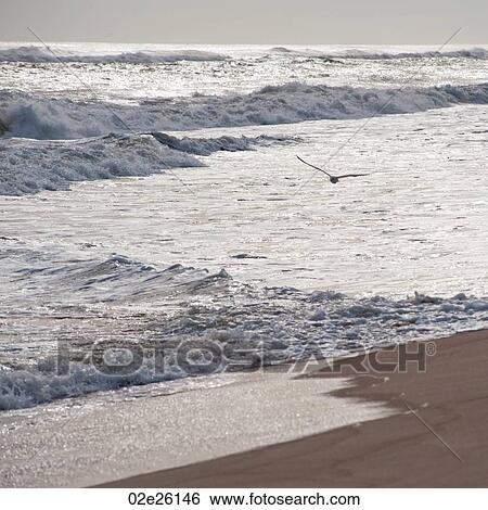Stock Photograph - Seascape along shoreline at The Hamptons, New York. Fotosearch