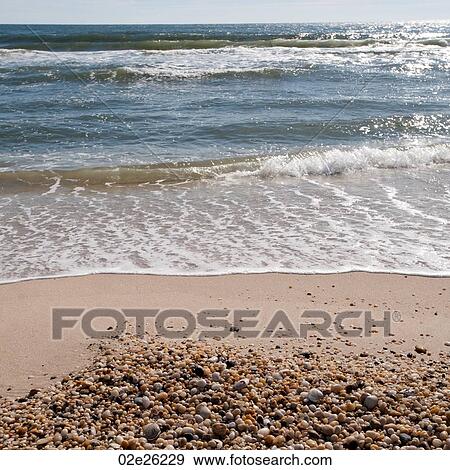 Seashore along the Hamptons coastline View Large Photo Image Stock Photo - Seashore along the Hamptons coastline. Fotosearch