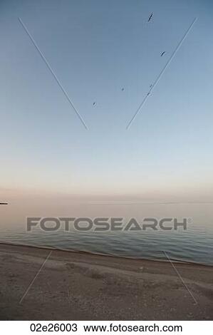 Shoreline of Lake Winnipeg in Gimli, Manitoba, Canada View Large Photo Image Stock Image - Shoreline of Lake Winnipeg in Gimli, Manitoba, Canada. Fotosearch