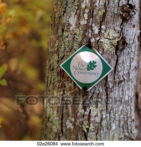 Sign posted on a tree trunk, the Hamptons, New York View Large Photo Image Picture - Sign posted on a tree trunk, the Hamptons, New York. Fotosearch