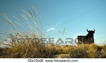 Stock Photo - Silhouette of a bull in rural landscape. Fotosearch