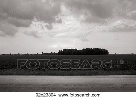 Picture - Simple B&W contemporary landscape c omposition.. Fotosearch