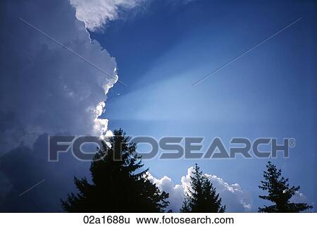 Sky, with sun shining from behind a cloud, above tree tops View Large Photo Image Stock Photograph - Sky, with sun shining from behind a cloud, above tree tops. Fotosearch