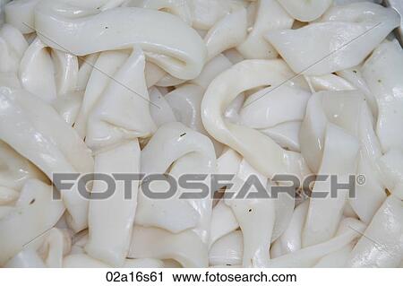 Slices of squid View Large Photo Image Stock Image - Slices of squid. Fotosearch