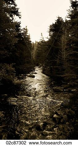Small stream through wooded area in North America. View Large Photo Image Stock Image - Small stream through wooded area in North America.. Fotosearch