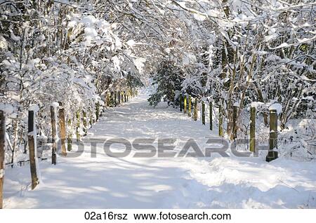 Snow covered woodland path View Large Photo Image Stock Photo - Snow covered woodland path. Fotosearch
