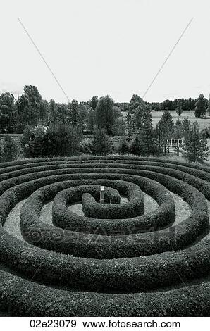 Stock Photo - Spiraling hedge maze in the country.. Fotosearch