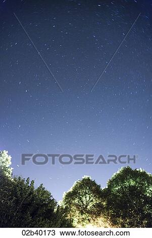 Starry Sky above treetops View Large Photo Image Stock Image - Starry Sky above treetops. Fotosearch