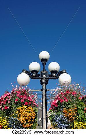 Street lamps with hanging flower baskets against a blue sky. View Large Photo Image Stock Image - Street lamps with hanging flower baskets against a blue sky.. Fotosearch