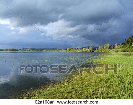Sunny wetlands View Large Photo Image Picture - Sunny wetlands . Fotosearch