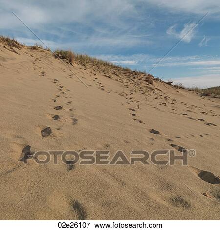 The Walking Dunes, Montauk, NY View Large Photo Image Stock Photo - The Walking Dunes, Montauk, NY. Fotosearch