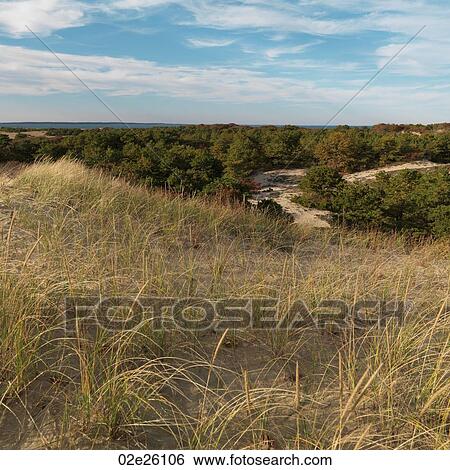 The Walking Dunes, Montauk, NY View Large Photo Image Stock Photograph - The Walking Dunes, Montauk, NY. Fotosearch