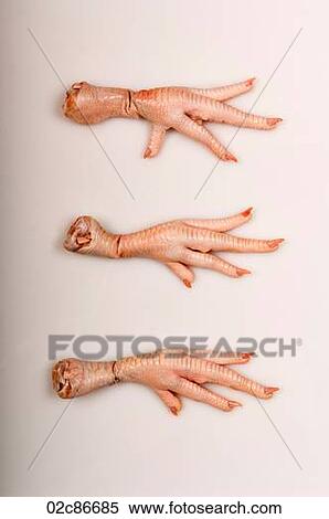 Three severed chicken feet. View Large Photo Image Stock Photography - Three severed chicken feet.. Fotosearch