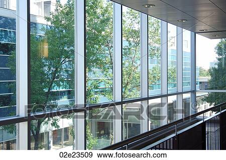 Tree on other side of glass. View Large Photo Image Stock Photo - Tree on other side of glass.. Fotosearch