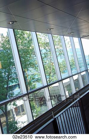 Trees on other side of window. View Large Photo Image Stock Image - Trees on other side of window.. Fotosearch
