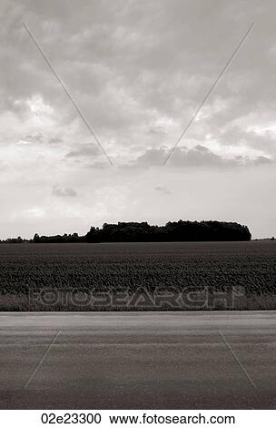 View of a field. View Large Photo Image Stock Image - View of a field.. Fotosearch