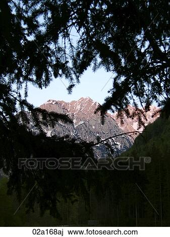 View of mountaintop through tree branches View Large Photo Image Stock Image - View of mountaintop through tree branches. Fotosearch