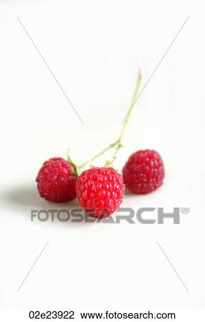 Vignette of three fresh raspberries on white. View Large Photo Image Stock Image - Vignette of three fresh raspberries on white.. Fotosearch