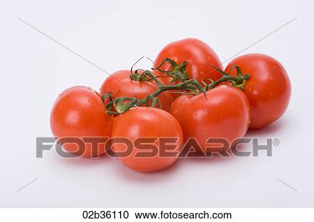 Stock Image - Vine Tomatoes. Fotosearch