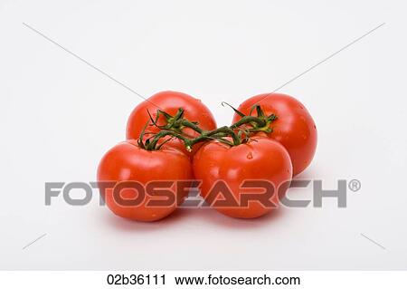 Stock Image - Vine Tomatoes. Fotosearch