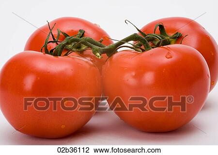 Vine Tomatoes View Large Photo Image Stock Image - Vine Tomatoes. Fotosearch
