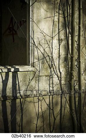 Wall climbers on derelict wall View Large Photo Image Stock Photograph - Wall climbers on derelict wall. Fotosearch