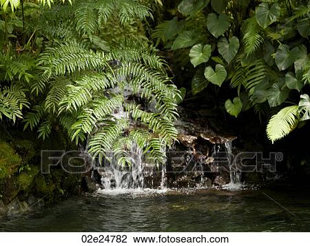 Waterfall and landscape at Como Shambhala Estate in Bali View Large Photo Image Stock Image - Waterfall and landscape at Como Shambhala Estate in Bali. Fotosearch