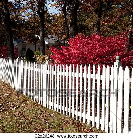 White fence surrounding a house in a forest. View Large Photo Image Stock Photo - White fence surrounding a house in a forest. . Fotosearch