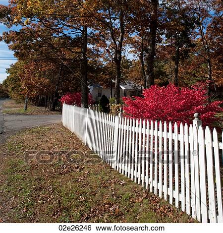 White fence surrounding a house in a forest. View Large Photo Image Stock Photograph - White fence surrounding a house in a forest. . Fotosearch