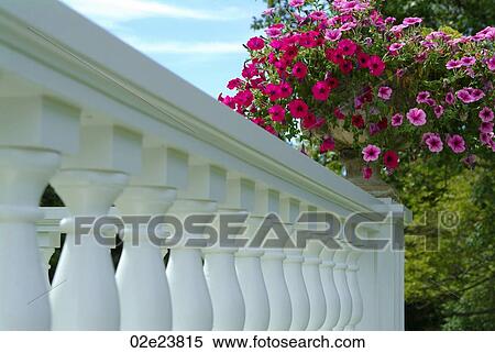 White garden railing with flowers. View Large Photo Image Stock Photography - White garden railing with flowers.. Fotosearch