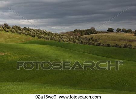 Winter landscape, Tuscany, Italy View Large Photo Image Stock Photo - Winter landscape, Tuscany, Italy. Fotosearch