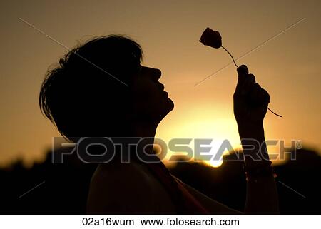 Woman holding wildflower at sunset, Granada, Andalusia View Large Photo Image Picture - Woman holding wildflower at sunset, Granada, Andalusia. Fotosearch