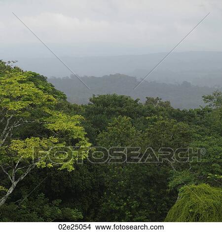 Xunantunich, Jungle View Large Photo Image Picture - Xunantunich, Jungle. Fotosearch