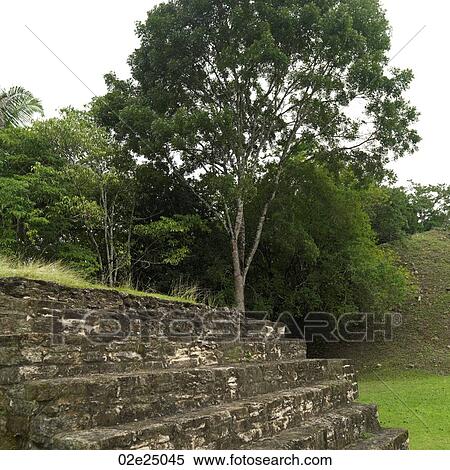 Xunantunich, Temple View Large Photo Image Stock Photography - Xunantunich, Temple. Fotosearch
