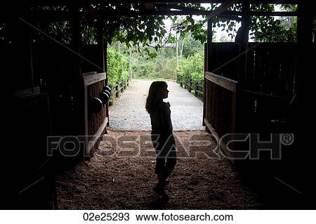 Young girl inside stables at Mountain Pine Ridge Reserve in Belize View Large Photo Image Stock Image - Young girl inside stables at Mountain Pine Ridge Reserve in Belize. Fotosearch