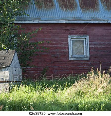 Abandoned building at Lake of the Woods, Ontario View Large Photo Image Stock Image - Abandoned building at Lake of the Woods, Ontario. Fotosearch