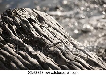 abstract grey rock formations formed by water erosion View Large Photo Image Stock Photo - abstract grey rock formations formed by water erosion. Fotosearch