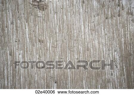 Stock Photograph - Aerial view of forest in Vail, Colorado. Fotosearch