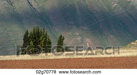 Agricultural field in a valley, Sacred Valley, Cusco Region, Peru View Large Photo Image Stock Photo - Agricultural field in a valley, Sacred Valley, Cusco Region, Peru. Fotosearch