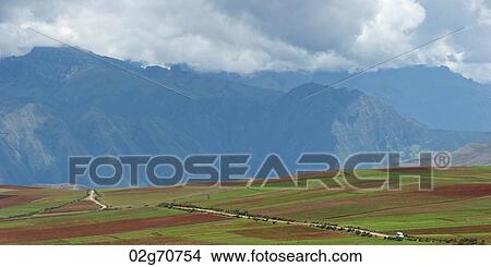 Agricultural field in Sacred Valley, Cusco Region, Peru View Large Photo Image Picture - Agricultural field in Sacred Valley, Cusco Region, Peru. Fotosearch