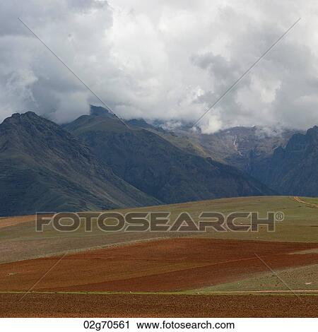 Agricultural field in Sacred Valley, Cusco Region, Peru View Large Photo Image Stock Image - Agricultural field in Sacred Valley, Cusco Region, Peru. Fotosearch