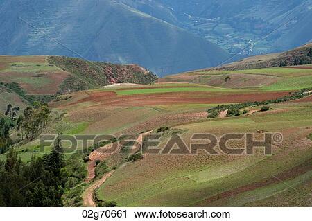 Agricultural field in Sacred Valley, Cusco Region, Peru View Large Photo Image Stock Image - Agricultural field in Sacred Valley, Cusco Region, Peru. Fotosearch