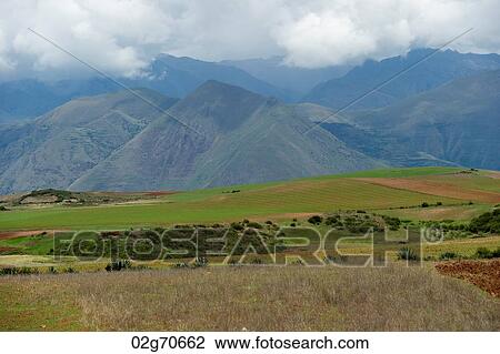 Agricultural field in Sacred Valley, Cusco Region, Peru View Large Photo Image Stock Image - Agricultural field in Sacred Valley, Cusco Region, Peru. Fotosearch