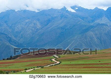 Agricultural field in Sacred Valley, Cusco Region, Peru View Large Photo Image Stock Image - Agricultural field in Sacred Valley, Cusco Region, Peru. Fotosearch